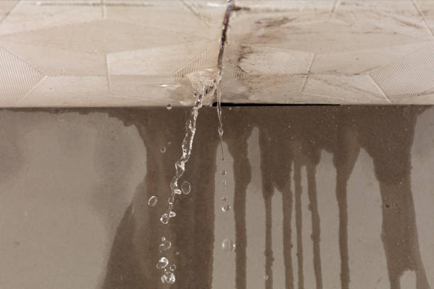 Professional Water Damage Restoration technician working in Fort Dick, CA
